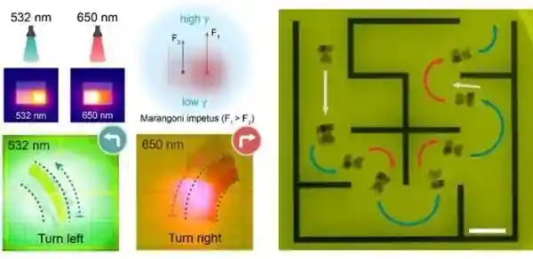 光驱动游泳驱动器研究取得进展