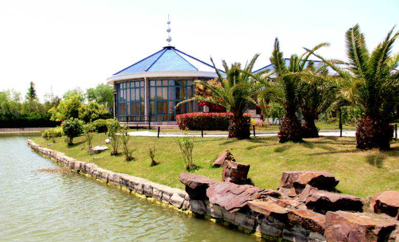 一座独具上海特色的金融小镇，带你轻松逃离城市病