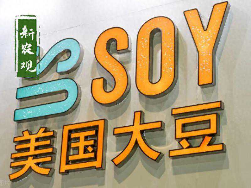 怪事年年有！听说美豆种植意愿增加，价格却止跌反涨了，这咋回事