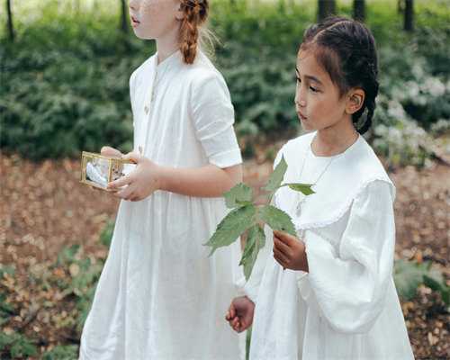 浙江森林生态效益补偿标准
