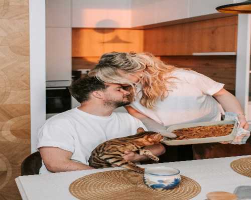 正月十六前，有事这样办！宁波战“疫“民生服务信息汇总