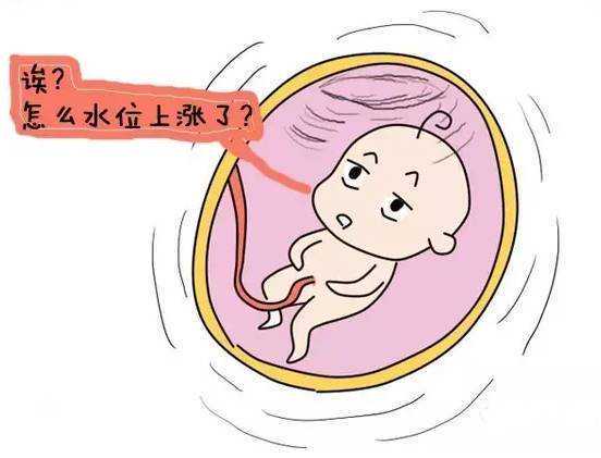 约930亿！福建这条对接浙江的高铁，年内开工，提升战略通道能力