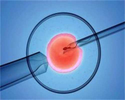 浙江一公司上4休3收到上千份简历：目前仅有三名员工、盈利只够工资