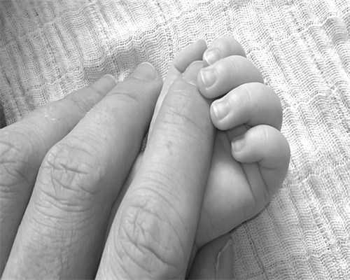 宁波旭升汽车技术股份有限公司 关于使用部分暂时闲置自有资金 购买理财产品的公告