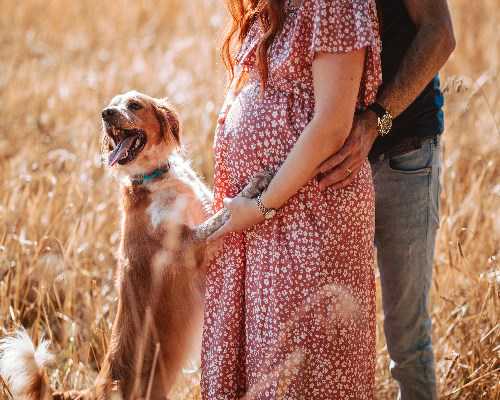 浙江长城电工科技股份有限公司首次公开发行股票网下初步配售结果及网上中签结果公告