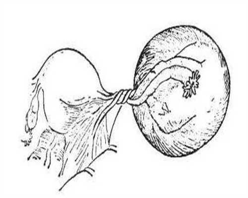 “典”亮新时代｜人生万事须自为，跬步江山即寥廓