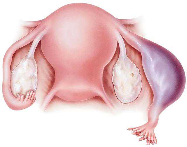 哈尔滨一女子遇到个名叫“王艺谚”的“大能人”，“能掐会算”，结果出问题了