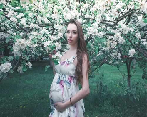 久违了，封闭式基金，我来了