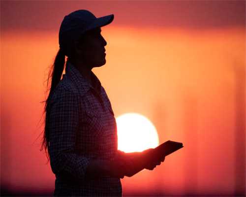 6月收益“破7”万能险或达19个