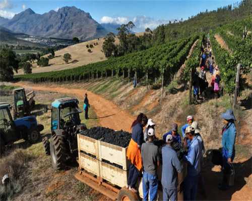 旧案｜从揽储状元到金融巨贪：三年吞没存款1100余万元，28岁被判死刑