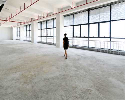 “综合金融+医疗养老”，中国平安高质量发展的解题思路｜公司观察