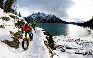 这样刷单是为骗子“买单”！