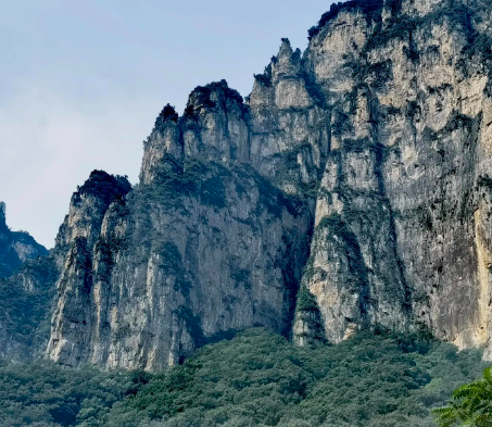 涨停揭秘｜阳光股份首板涨停，封板资金5300.92万元