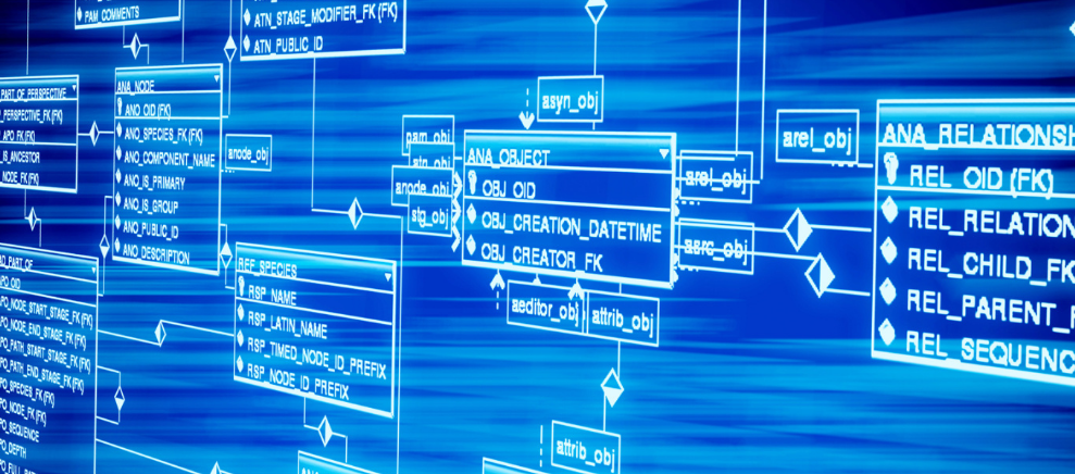 玉米近强远弱 观望为主