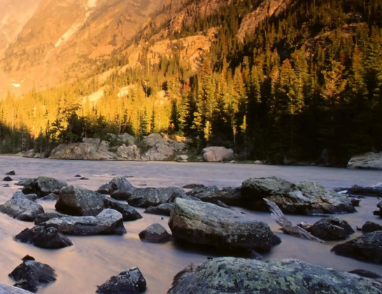 阳光电源涨1.08%，成交额22.39亿元，主力没有控盘